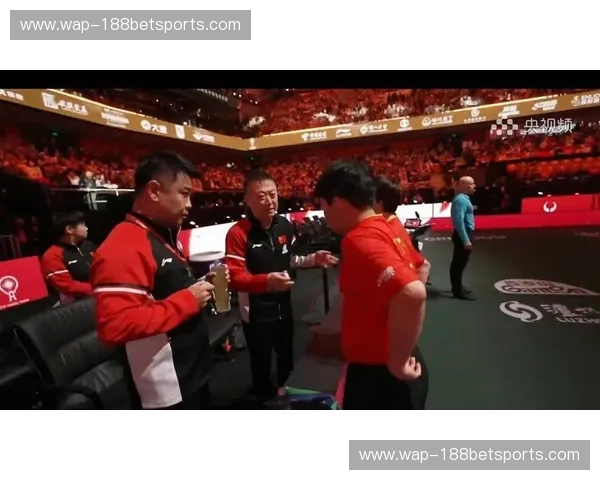 乒乓球赛事直播：让你与世界级选手零距离接触
